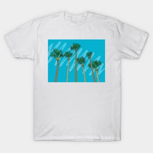 Florida Palm Trees T-Shirt